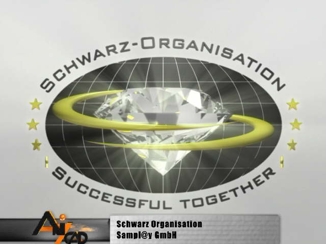 Schwarz Organisatiion